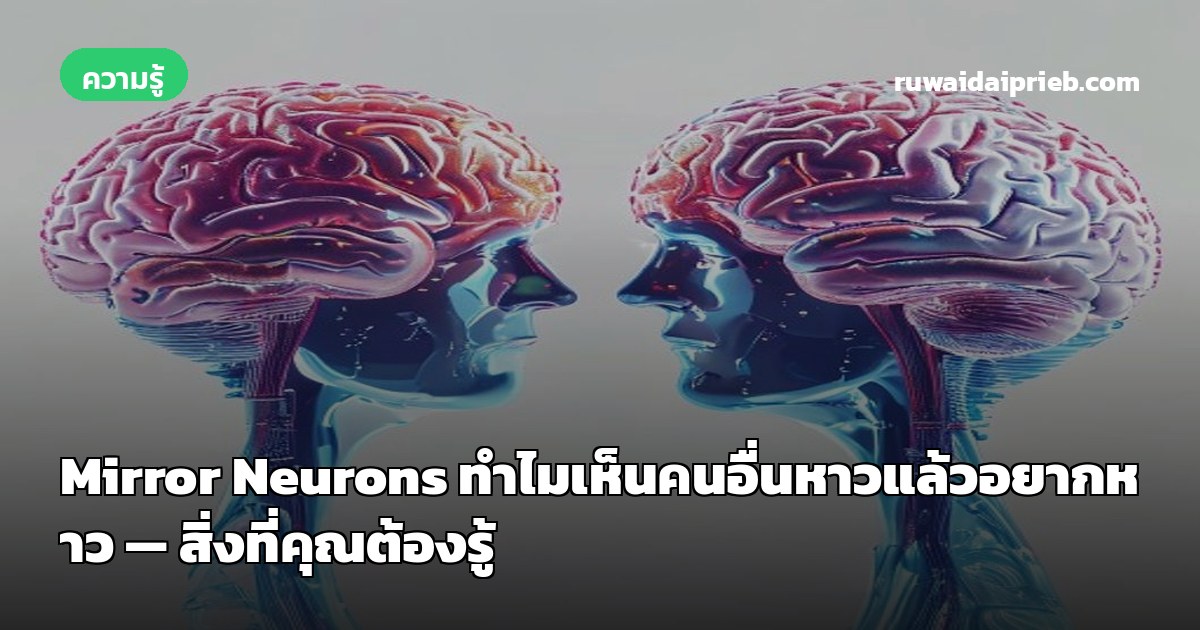 Mirror Neurons ทำไมเห็นคนอื่นหาวแล้วอยากหาว — สิ่งที่คุณต้องรู้