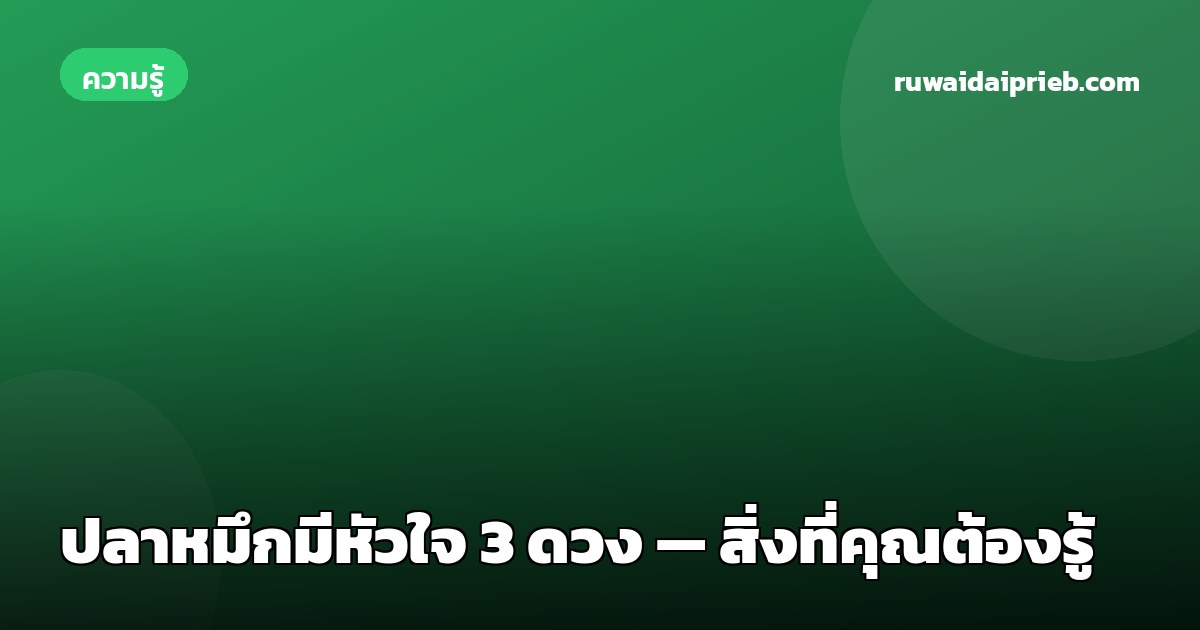ปลาหมึกมีหัวใจ 3 ดวง — สิ่งที่คุณต้องรู้