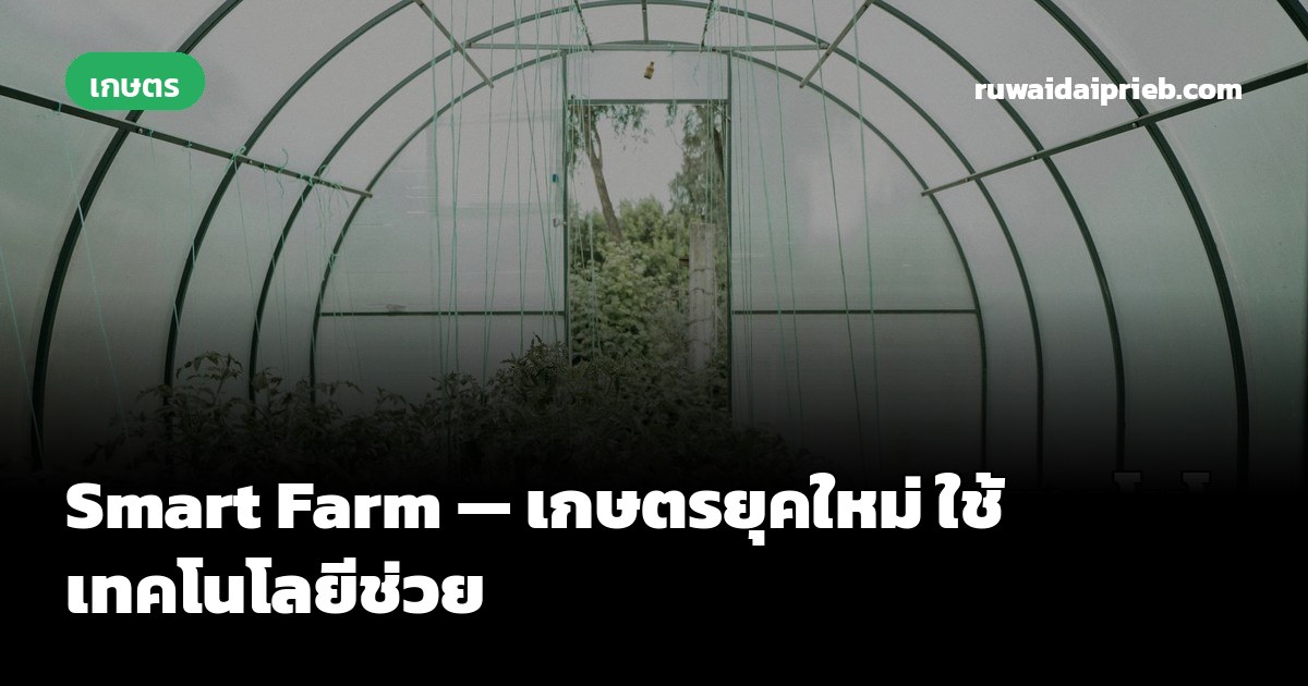 Smart Farm — เกษตรยุคใหม่ ใช้เทคโนโลยีช่วย