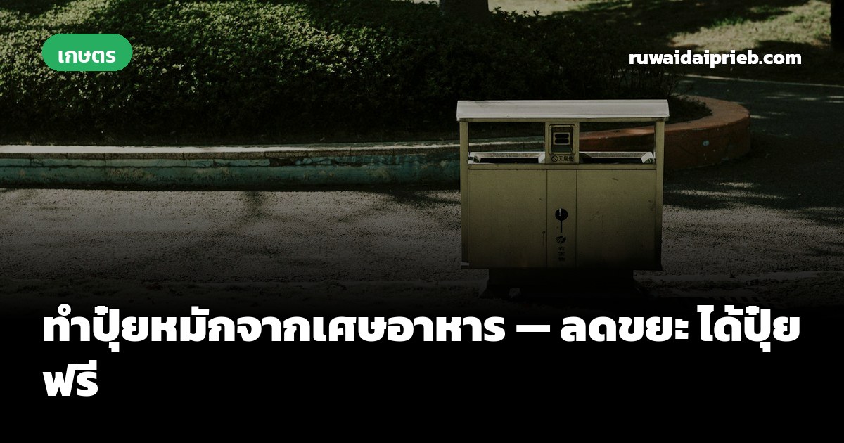 ทำปุ๋ยหมักจากเศษอาหาร — ลดขยะ ได้ปุ๋ยฟรี