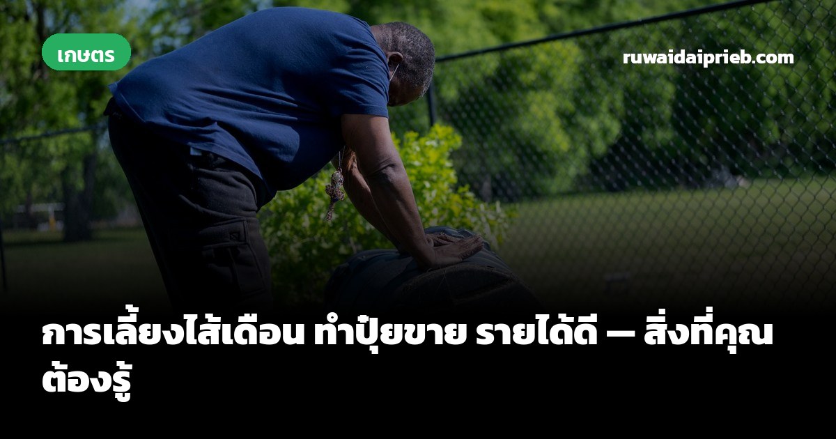 การเลี้ยงไส้เดือน ทำปุ๋ยขาย รายได้ดี — สิ่งที่คุณต้องรู้