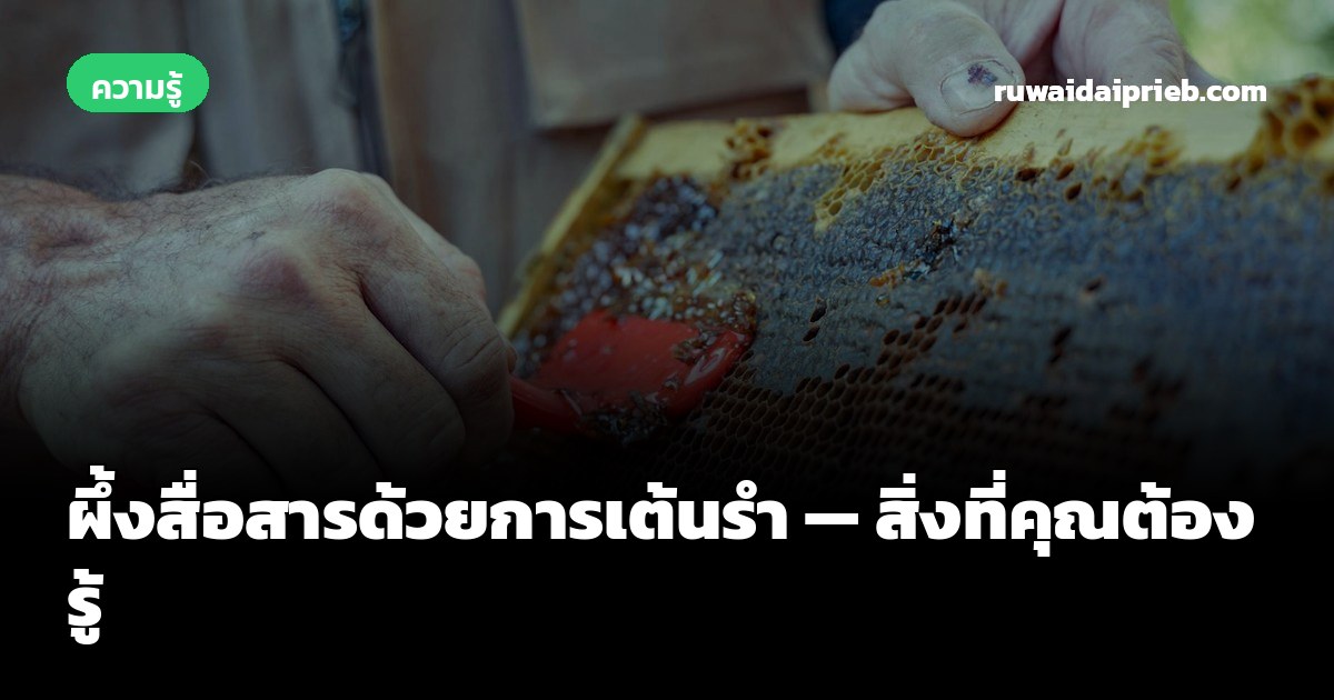 ผึ้งสื่อสารด้วยการเต้นรำ — สิ่งที่คุณต้องรู้