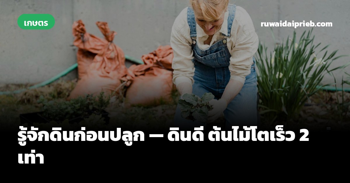 รู้จักดินก่อนปลูก — ดินดี ต้นไม้โตเร็ว 2 เท่า