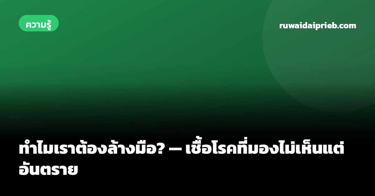 ทำไมเราต้องล้างมือ? — เชื้อโรคที่มองไม่เห็นแต่อันตราย