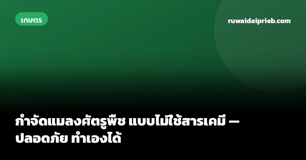 กำจัดแมลงศัตรูพืช แบบไม่ใช้สารเคมี — ปลอดภัย ทำเองได้